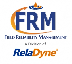 FRM Logo